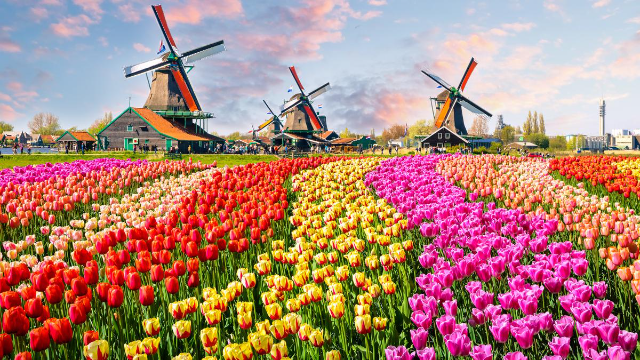 Destinasi Wisata di Belanda