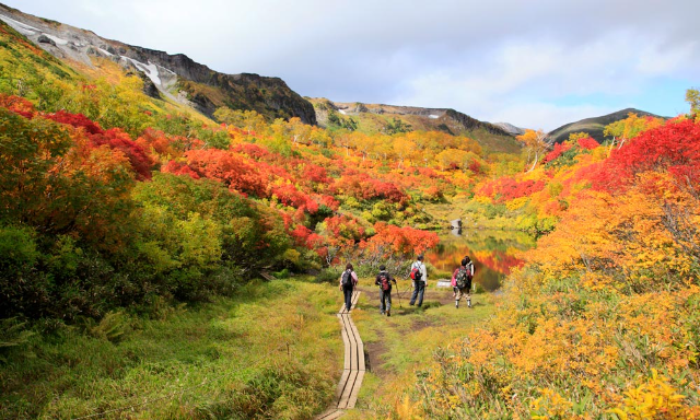 Destinasi Wisata Wajib di Kunjungi di Hokaido