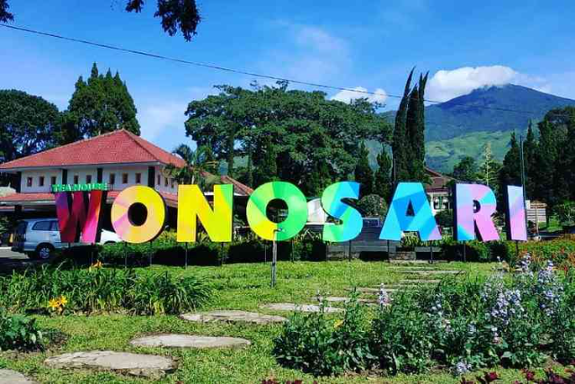 Objek Wisata Kebun Teh untuk Kamu yang Suka Penghijauan