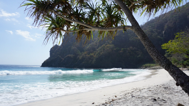 Pantai Lawar Sumbawa: Destinasi Bahari Eksotis
